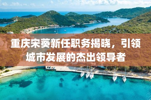 重庆宋葵新任职务揭晓，引领城市发展的杰出领导者