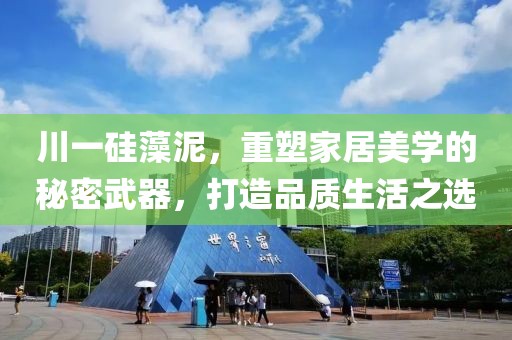 川一硅藻泥，重塑家居美学的秘密武器，打造品质生活之选