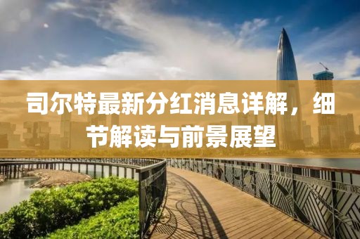 司尔特最新分红消息详解，细节解读与前景展望