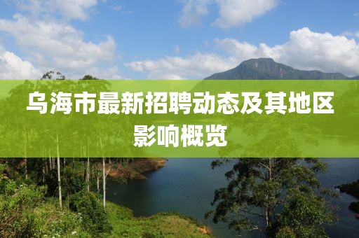 乌海市最新招聘动态及其地区影响概览