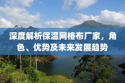 深度解析保温网格布厂家，角色、优势及未来发展趋势
