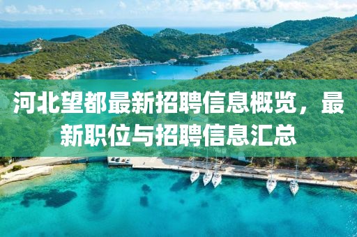 河北望都最新招聘信息概览，最新职位与招聘信息汇总