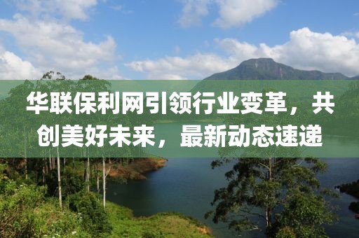 华联保利网引领行业变革，共创美好未来，最新动态速递
