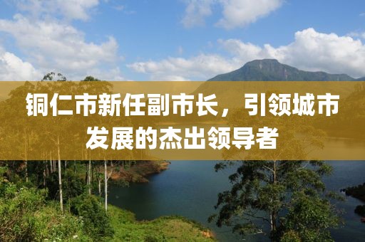铜仁市新任副市长，引领城市发展的杰出领导者