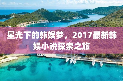星光下的韩娱梦，2017最新韩娱小说探索之旅