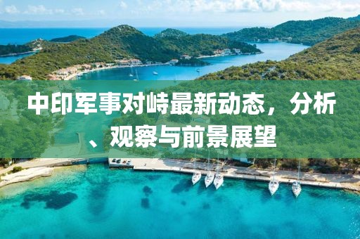 中印军事对峙最新动态，分析、观察与前景展望