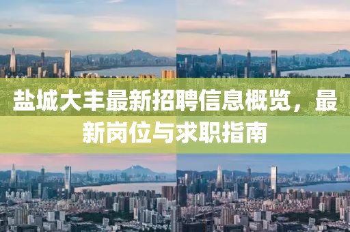 盐城大丰最新招聘信息概览，最新岗位与求职指南