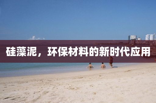 硅藻泥，环保材料的新时代应用