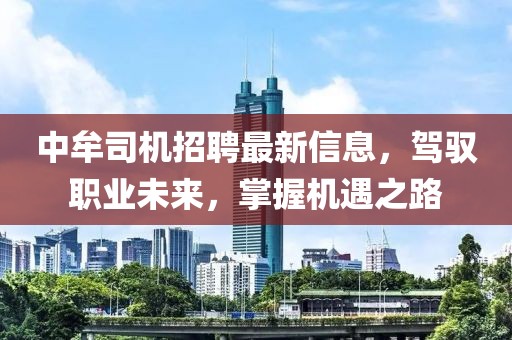 中牟司机招聘最新信息，驾驭职业未来，掌握机遇之路