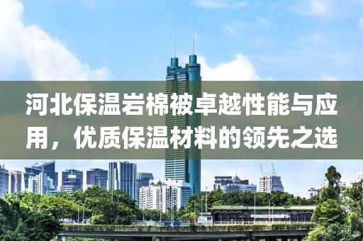 河北保温岩棉被卓越性能与应用，优质保温材料的领先之选