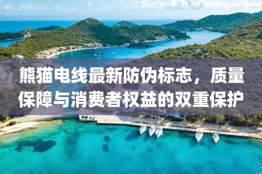 熊猫电线最新防伪标志，质量保障与消费者权益的双重保护