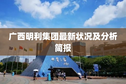 广西明利集团最新状况及分析简报