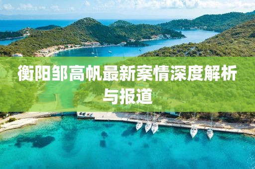 衡阳邹高帆最新案情深度解析与报道