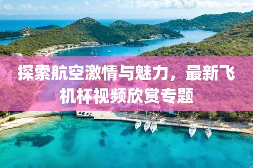 探索航空激情与魅力，最新飞机杯视频欣赏专题