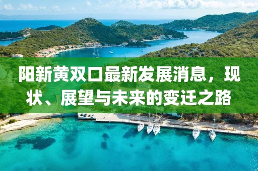 阳新黄双口最新发展消息，现状、展望与未来的变迁之路