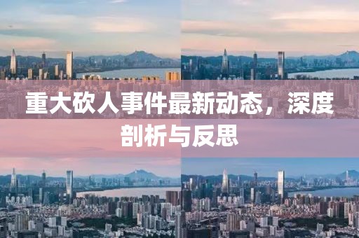 重大砍人事件最新动态，深度剖析与反思
