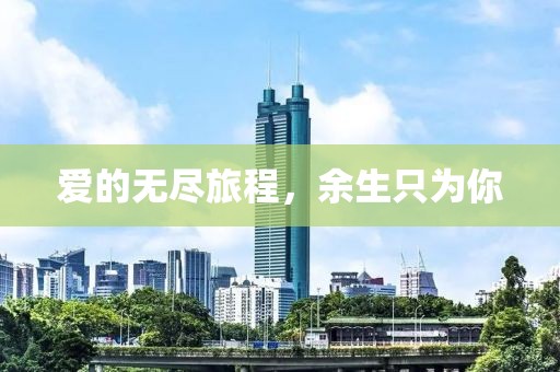 爱的无尽旅程，余生只为你