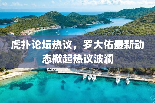 虎扑论坛热议，罗大佑最新动态掀起热议波澜