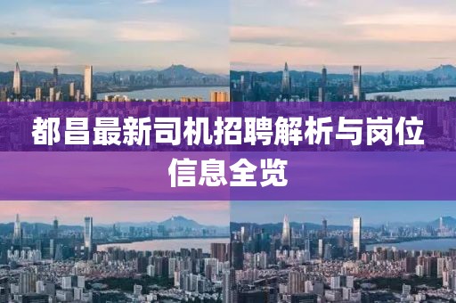 都昌最新司机招聘解析与岗位信息全览