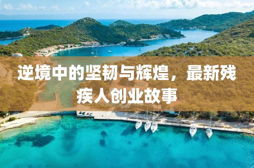 逆境中的坚韧与辉煌，最新残疾人创业故事