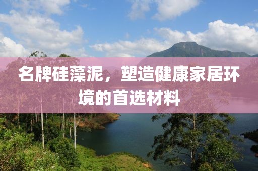 名牌硅藻泥，塑造健康家居环境的首选材料