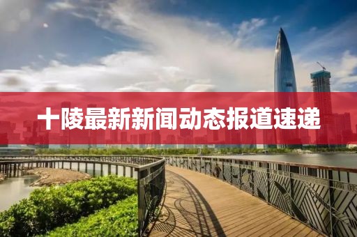 十陵最新新闻动态报道速递