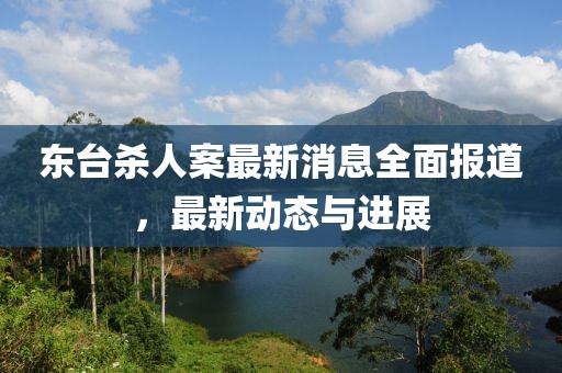 东台杀人案最新消息全面报道，最新动态与进展