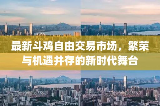 最新斗鸡自由交易市场，繁荣与机遇并存的新时代舞台
