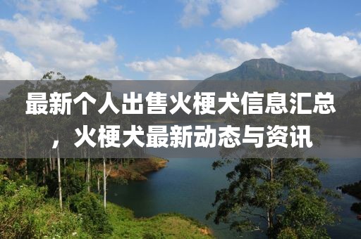 最新个人出售火梗犬信息汇总，火梗犬最新动态与资讯