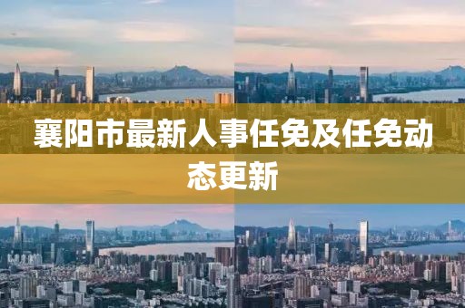 襄阳市最新人事任免及任免动态更新