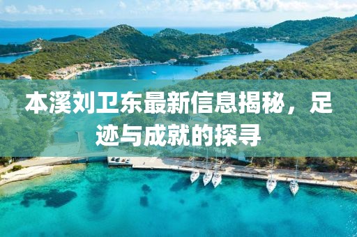 本溪刘卫东最新信息揭秘，足迹与成就的探寻