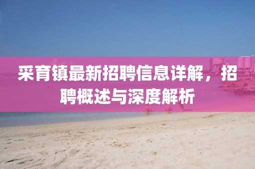采育镇最新招聘信息详解，招聘概述与深度解析