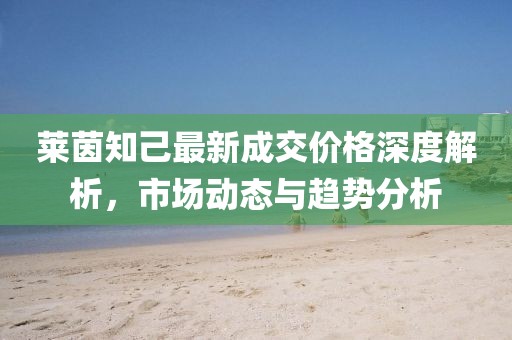 莱茵知己最新成交价格深度解析，市场动态与趋势分析
