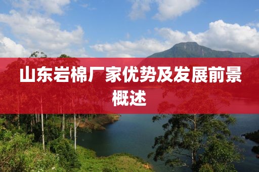 山东岩棉厂家优势及发展前景概述