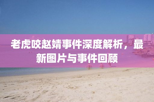 老虎咬赵婧事件深度解析，最新图片与事件回顾