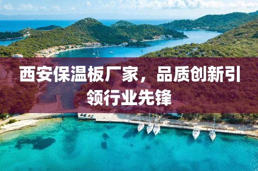 西安保温板厂家，品质创新引领行业先锋