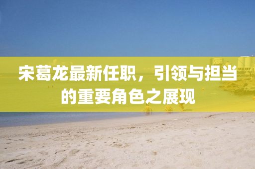 宋葛龙最新任职，引领与担当的重要角色之展现