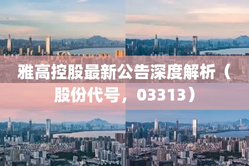 雅高控股最新公告深度解析（股份代号，03313）