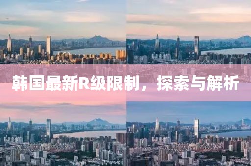 韩国最新R级限制，探索与解析