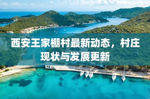 西安王家棚村最新动态，村庄现状与发展更新