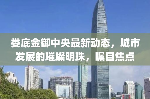 娄底金御中央最新动态，城市发展的璀璨明珠，瞩目焦点