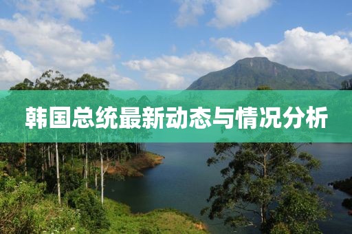 韩国总统最新动态与情况分析