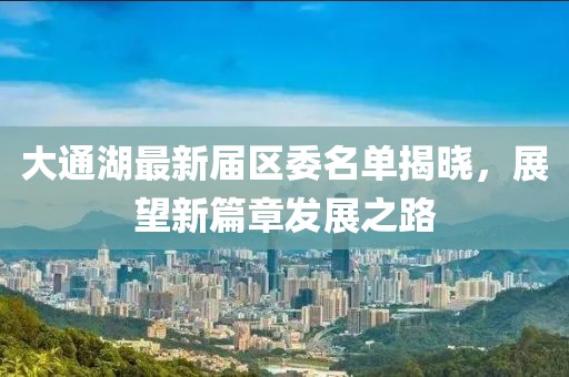 大通湖最新届区委名单揭晓，展望新篇章发展之路