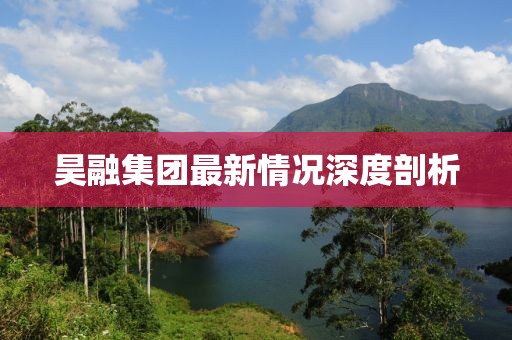 昊融集团最新情况深度剖析