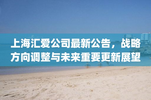 上海汇爱公司最新公告，战略方向调整与未来重要更新展望