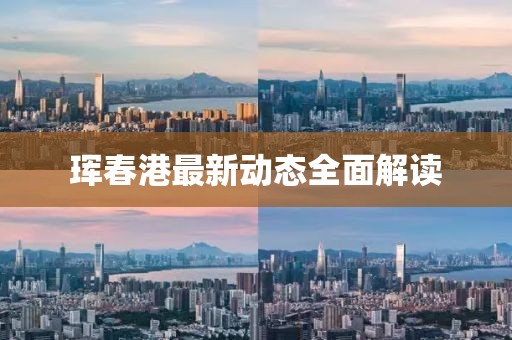珲春港最新动态全面解读