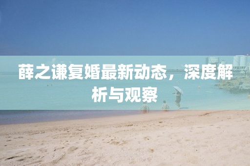 薛之谦复婚最新动态，深度解析与观察