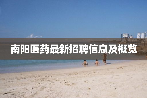南阳医药最新招聘信息及概览
