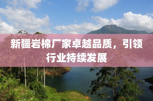 新疆岩棉厂家卓越品质，引领行业持续发展