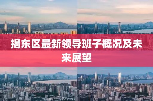 揭东区最新领导班子概况及未来展望